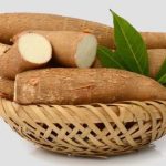 Mengenali Singkong dari Manfaat hingga Bahaya Racun